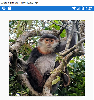 Monkey2