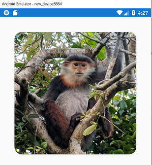 Monkey3