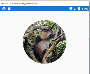 Monkey4